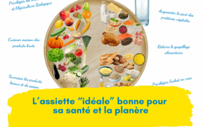 Assiette idéale : comment bien manger pour sa santé et préserver la planète