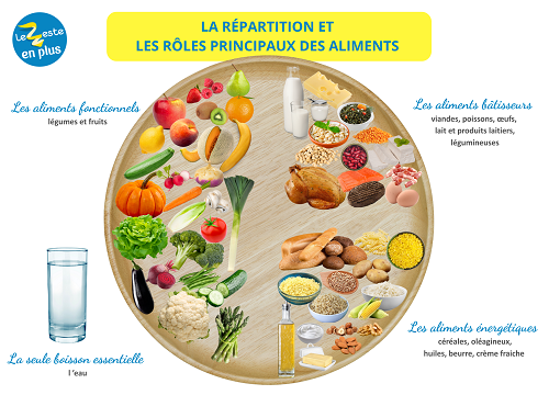 Assiette équilibrée rôle aliments